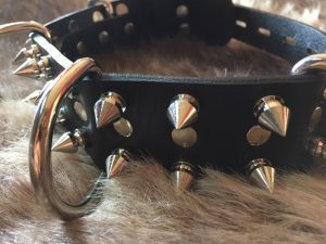 Productinformatie - Hondenhalsband met pinnen van Strict Leather