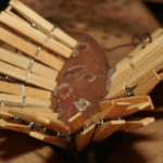 Wat is een zipper of rits binnen de BDSM?