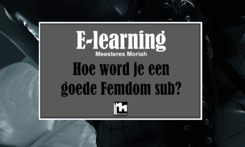 Hoe word je een goede Femdom sub?