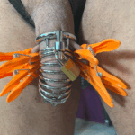 Geen ontsnapping uit het vogelkooitje