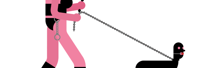 Wat is Petplay precies?