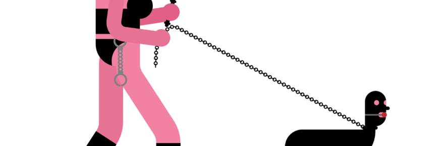 Wat is Petplay precies?